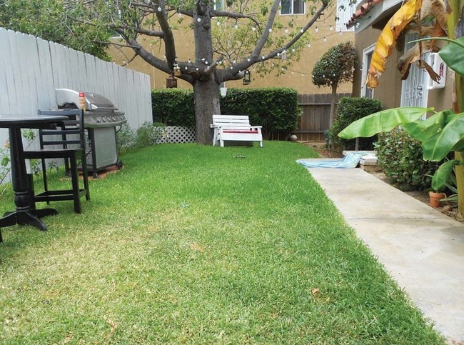 Backyard - North Freeman Apartments