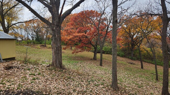 View from the side yard - 6938 Berry Rd