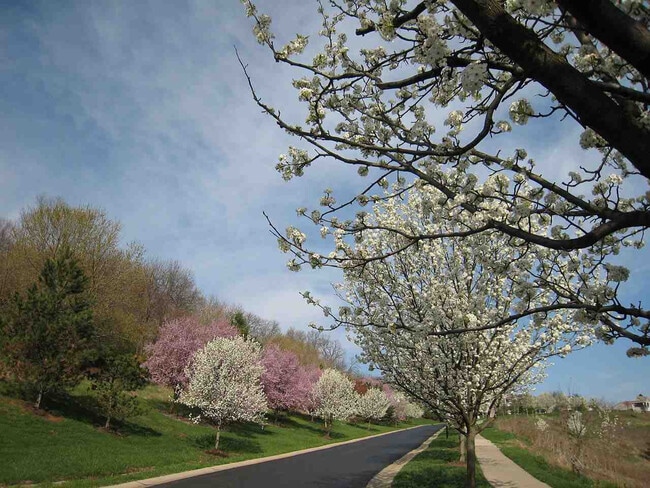 Building Photo - 2271 Edenderry Dr