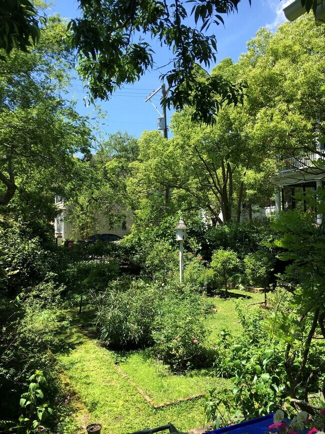 Building Photo - Charming Fully Furnished Garden CottageLlocated in South of Broad