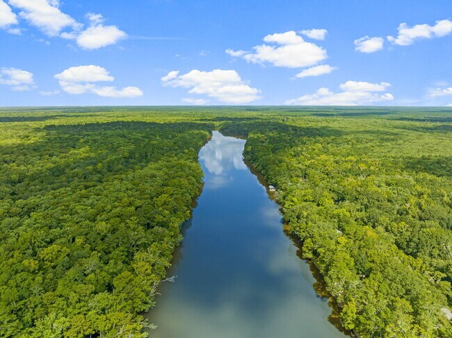 Building Photo - 493 Choctawhatchee River Rd