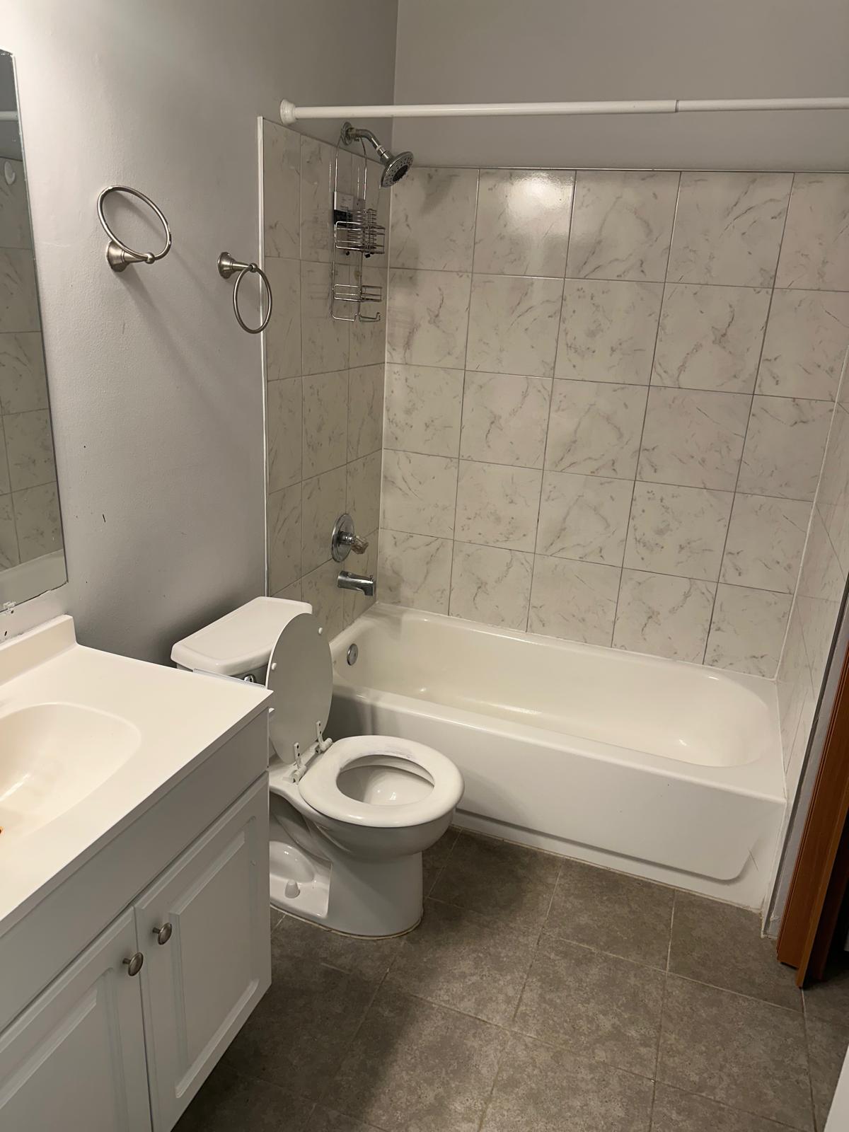 Hall Bathroom w/ new toilet - 505 Ravens Crest Dr