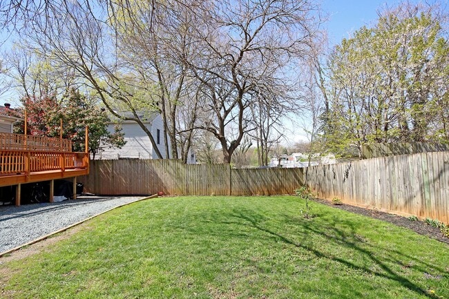 Building Photo - Charming Dog-Friendly Downtown Home Near UVA Medical Center