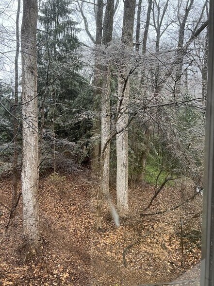 Building Photo - 10600 Kenilworth Ave