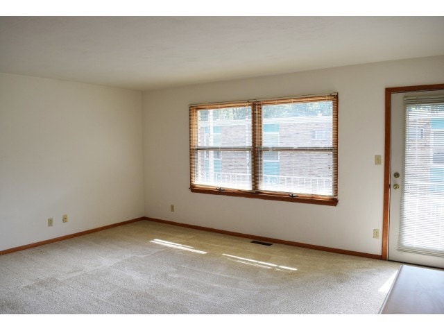 The Suite - Healey Gardens