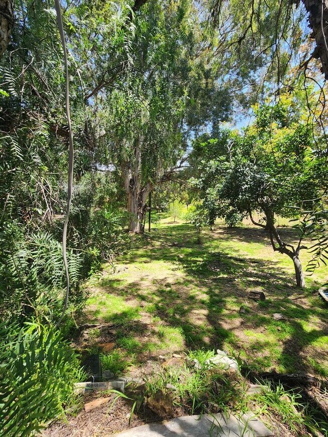 Building Photo - Rarely available Poolside studio cottage!