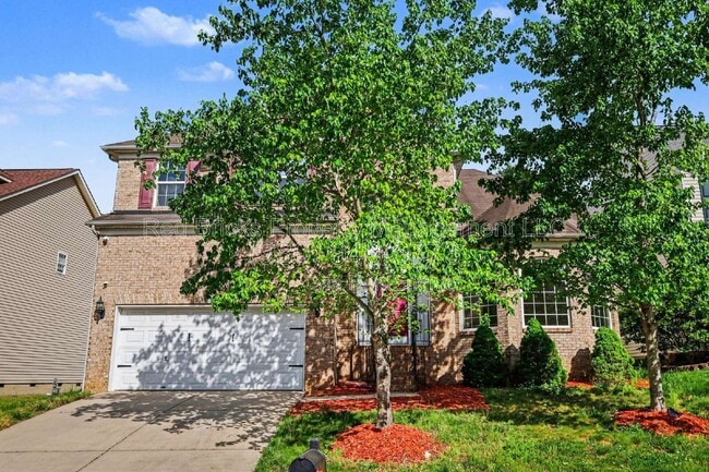 Building Photo - 2119 Baggins Ln