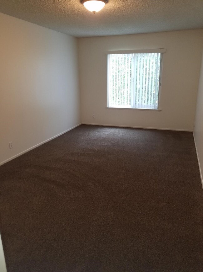 Building Photo - 550 Fano St
