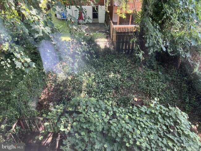 Building Photo - 213 Alnus St