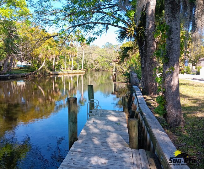 Building Photo - 9 Waterberry Cir