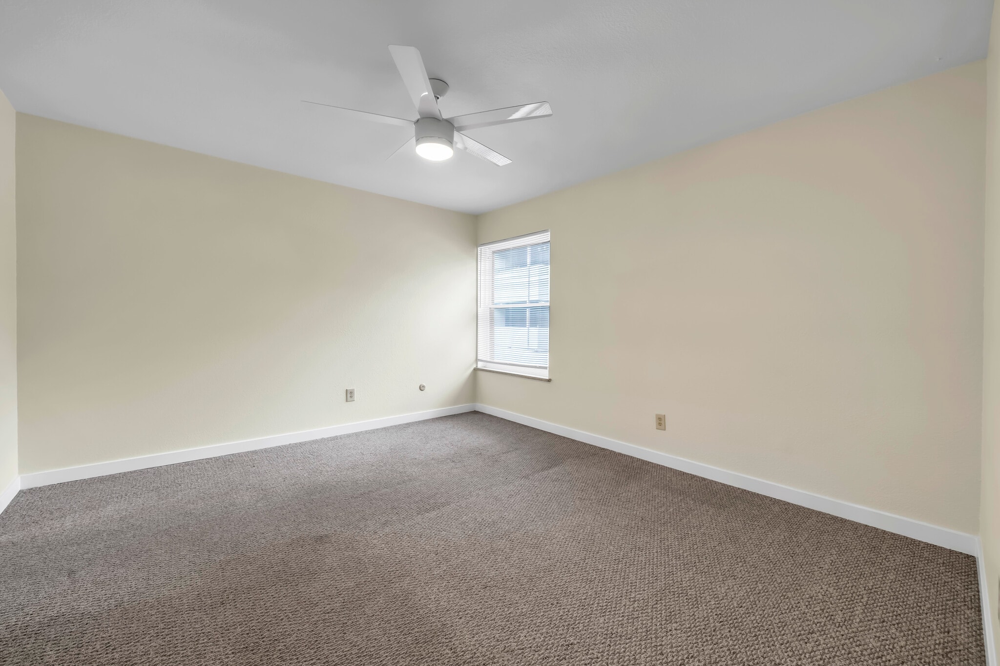 Building Photo - 2227 Canyon Blvd