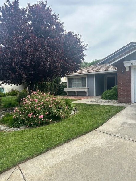 Building Photo - 430 Silvertail Pl