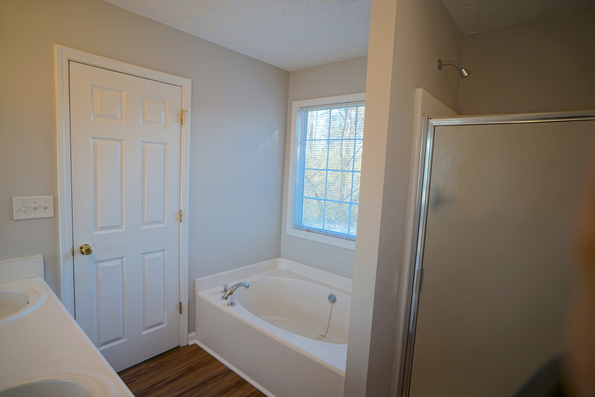 Master bath with double vanity, garden tub and separate stand-up shower - 11 Spring Valley Cove