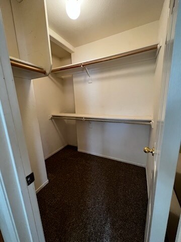 Building Photo - 255 Barcelona Ct