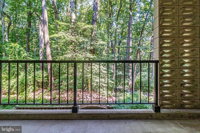 Balcony - 4345 IVYMOUNT Ct