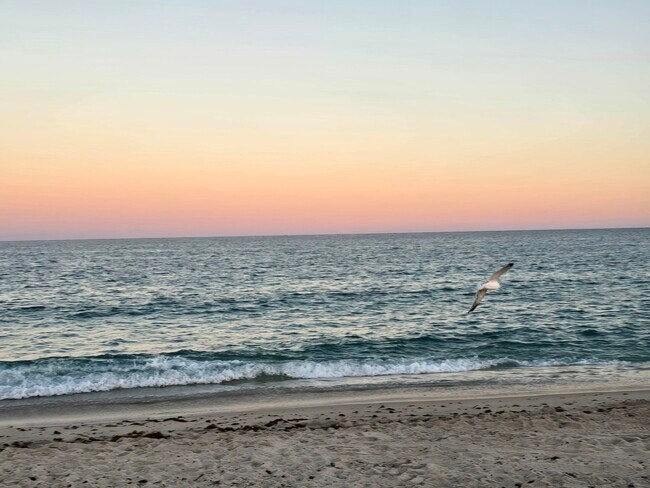 Building Photo - 60 Venetian Dr