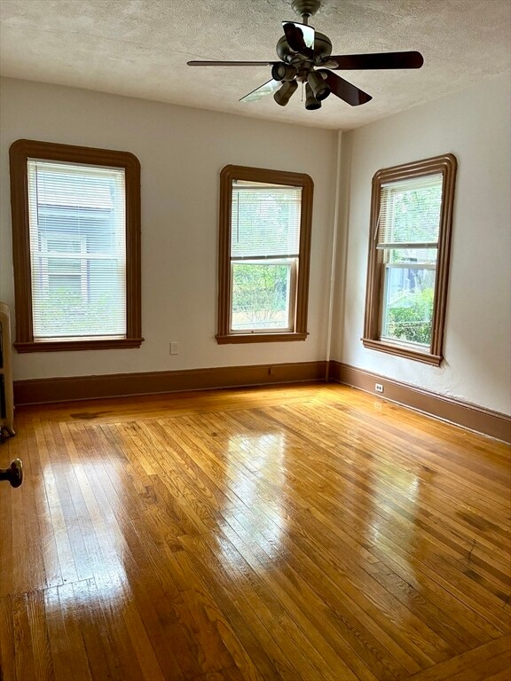 Building Photo - 59 Esmond St