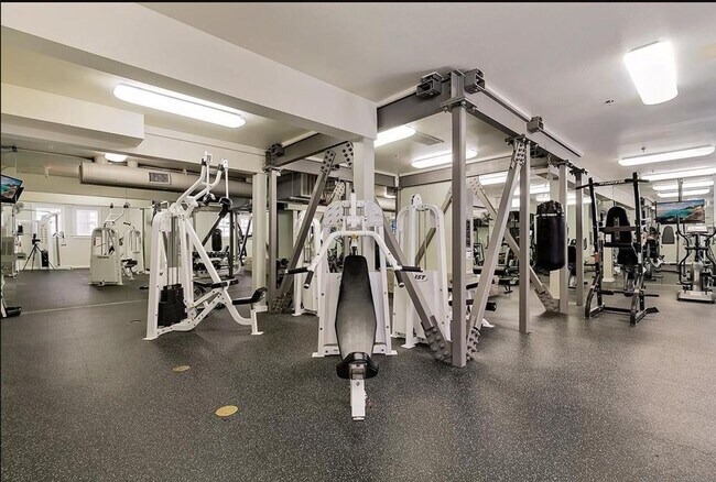 Building Photo - The Mills at Cortez Hills