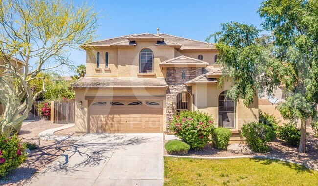 Primary Photo - 3318 E Pinot Noir Ave