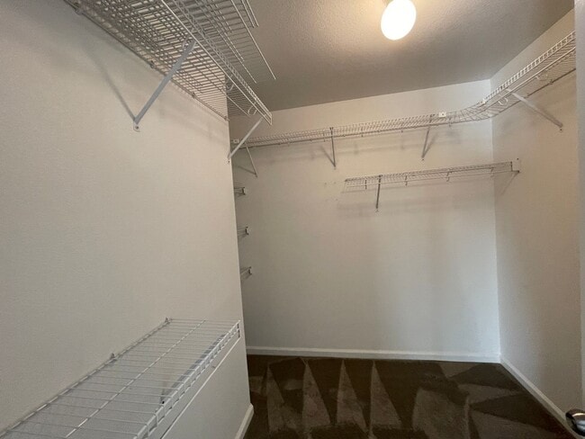 Building Photo - 1803 Carneros Cir