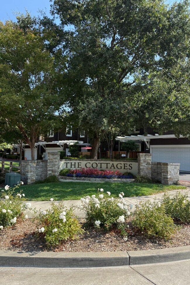 Building Photo - Welcome to this beautiful 3 bedroom, 2.5 bathroom home located in Cotati!