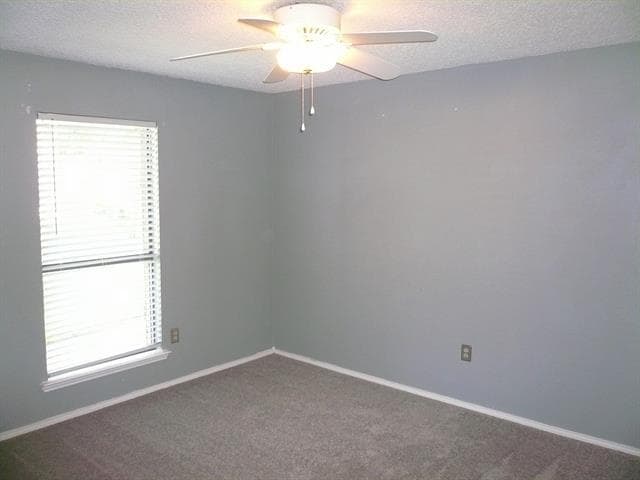 Building Photo - 3920 Woodruff Ct