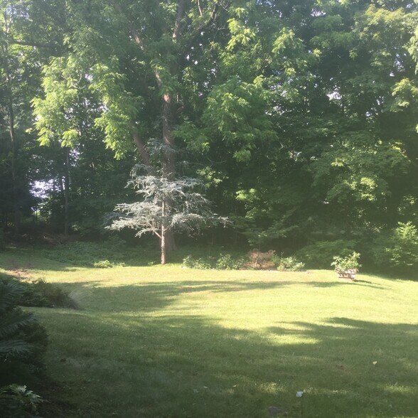 yard - 395 Nut Plains Rd