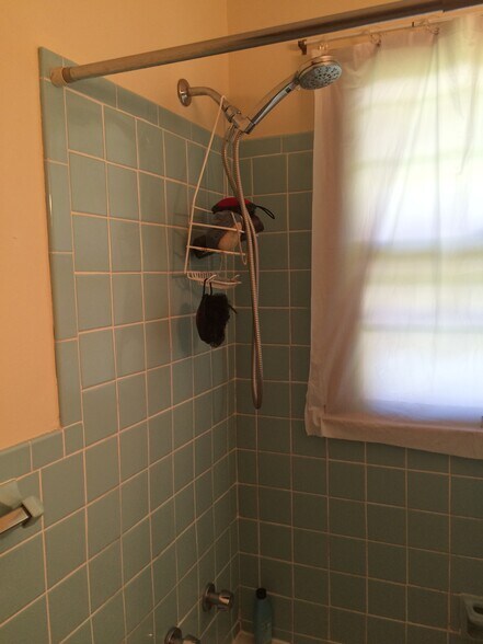 Shower - 3522 Holmes Ave