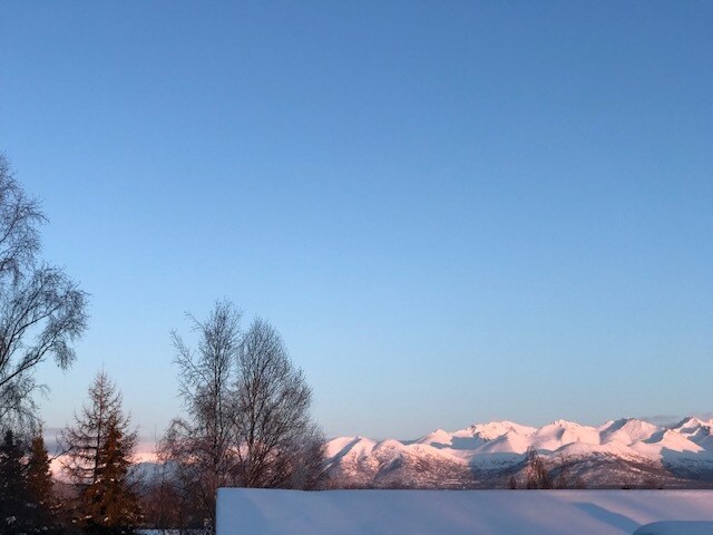 views from deck - 343 W 12th Ave