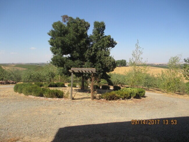 Building Photo - Country Hilltop Beauty