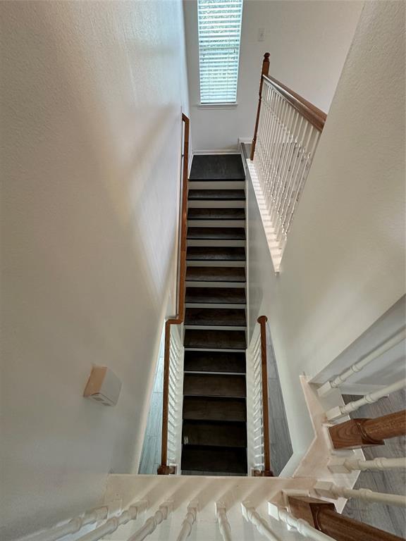Building Photo - 2303 Ledgeway Ct