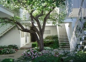 Building Photo - The Pines Apartments