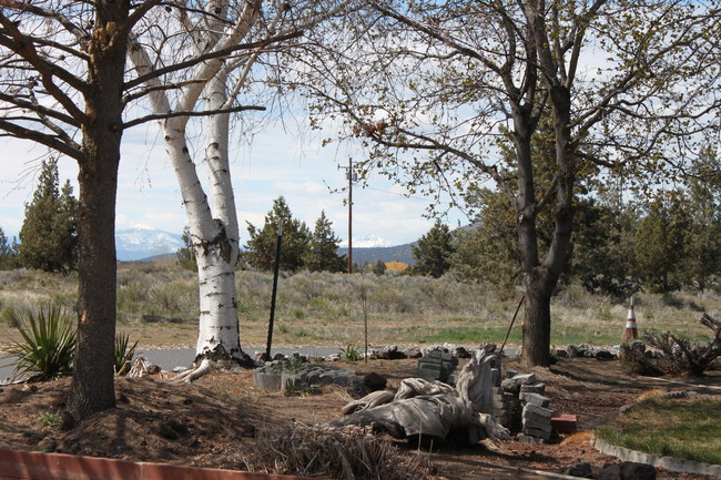 Building Photo - Desert Terrace Mobile Home Park