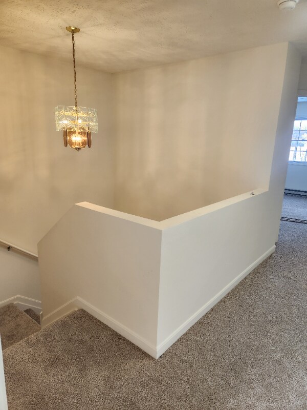 Building Photo - 4949 Catherine Ct