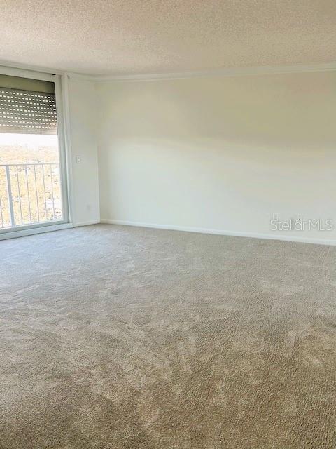 Building Photo - 2611 Bayshore Blvd