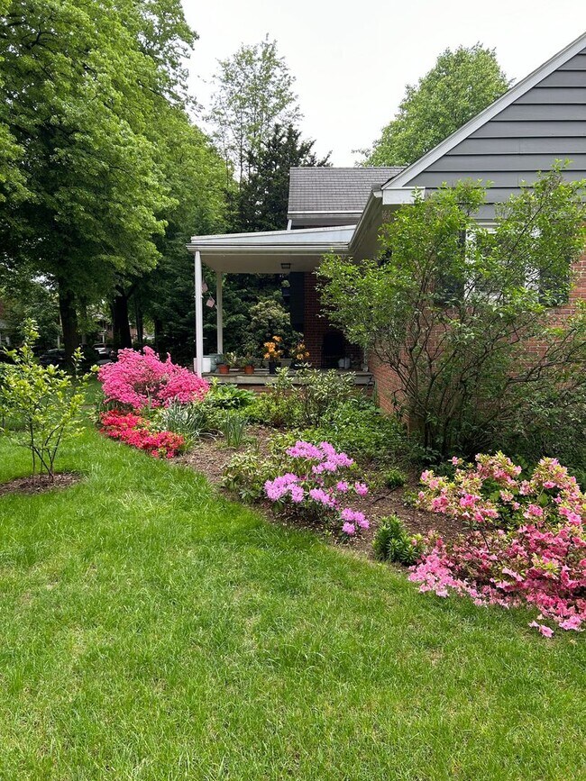 Building Photo - Wyomissing Schools Rental