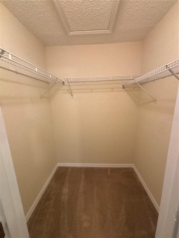 Building Photo - 3260 Haviland Ct