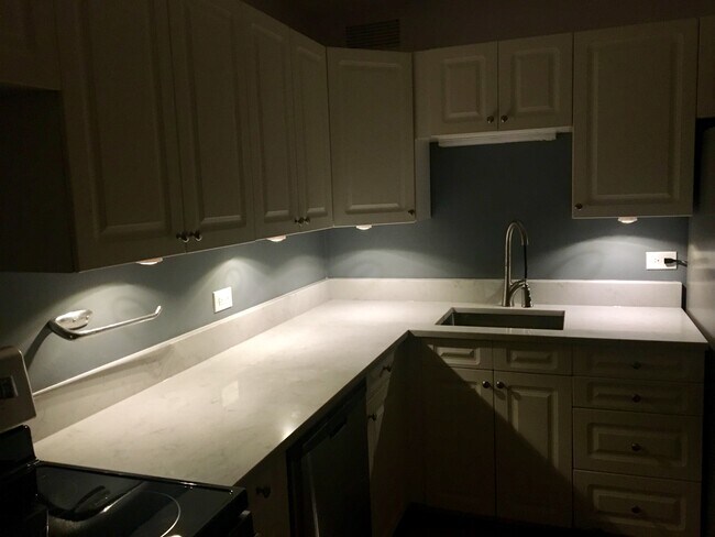 Quartz counters - 3930 N Pine Grove Ave