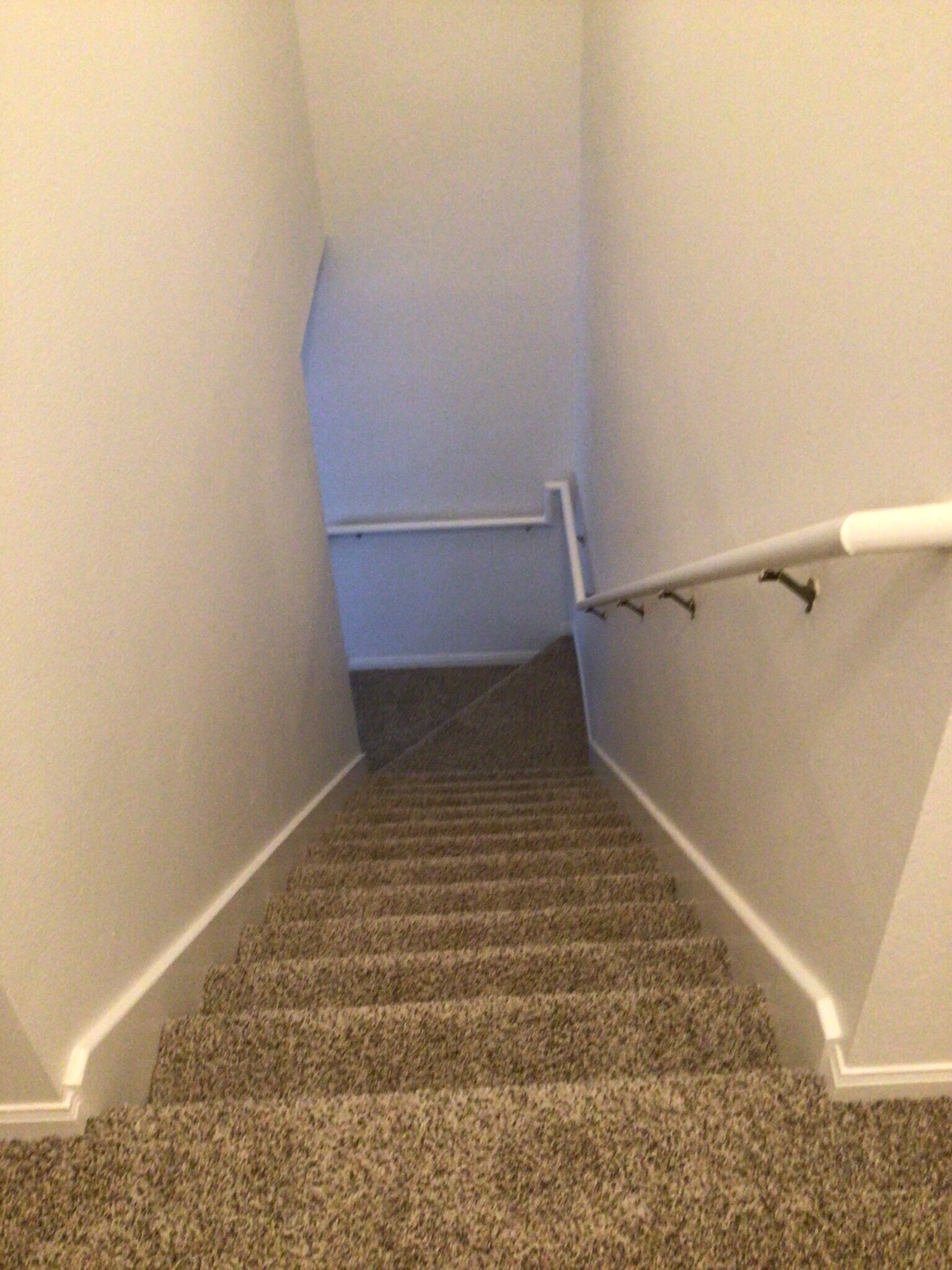 Brand new carpet - 2913 Whisper Oaks Ln