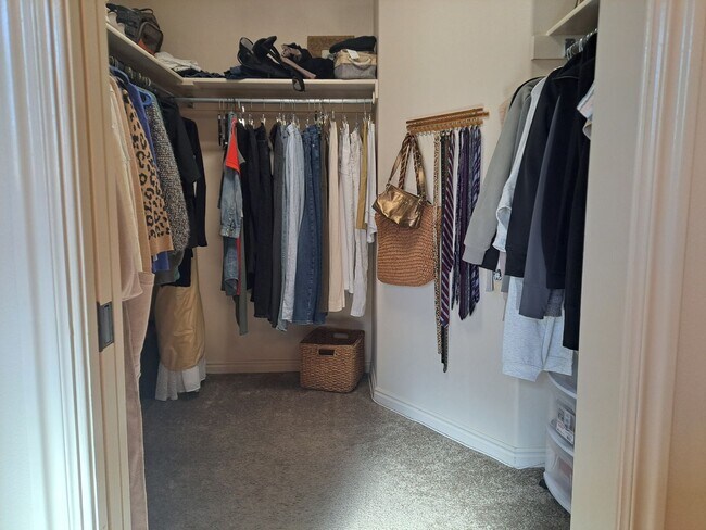 Building Photo - Snow Canyon Single Family