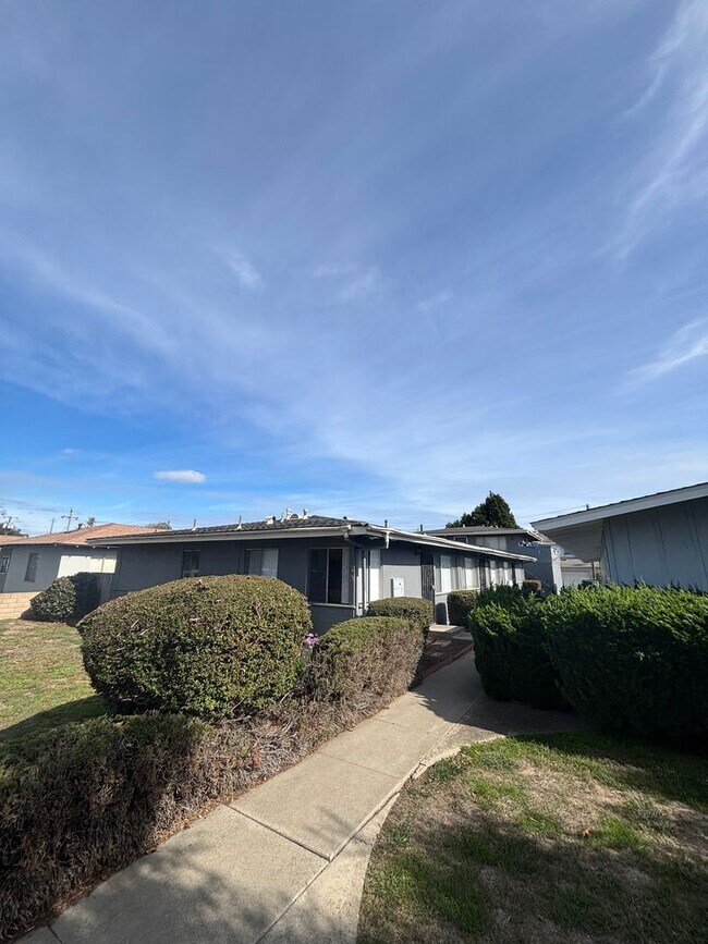 Primary Photo - C130