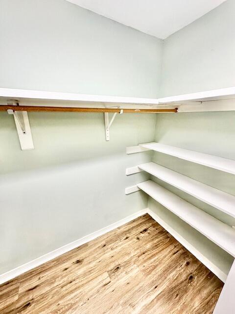Building Photo - 937 Holbrook Cir