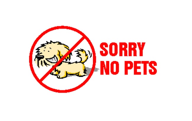 Building Photo - Coming soon! Beautiful single-family home in West Valley