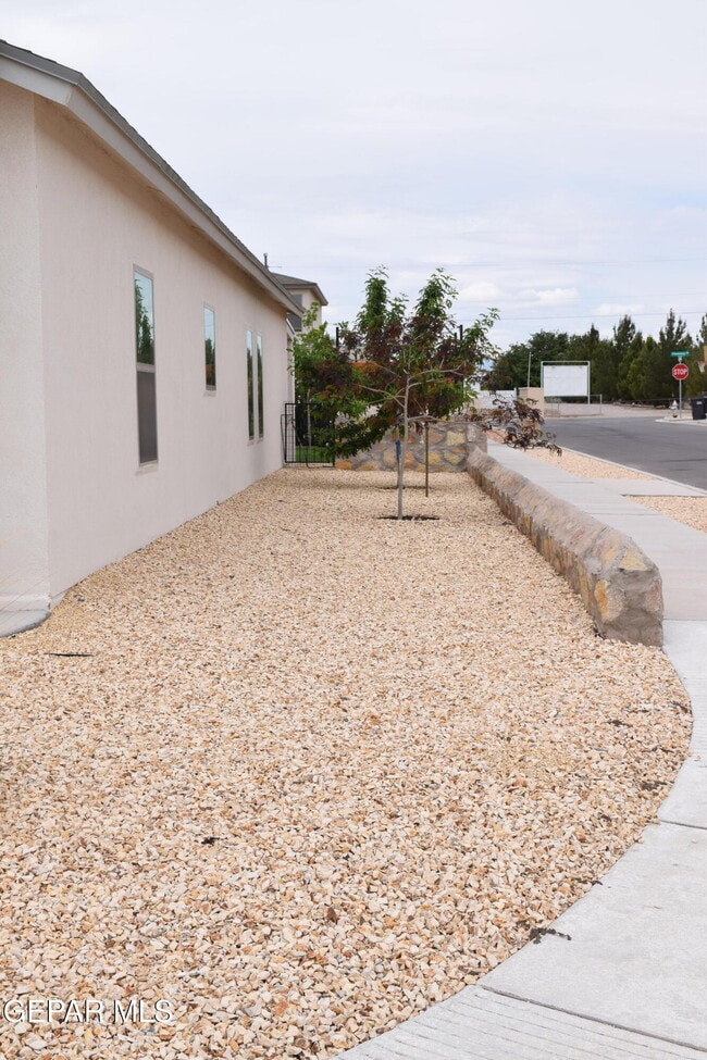 Building Photo - 355 Sol Ct