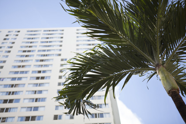 Building Photo - Maunakea Tower Apartment Homes