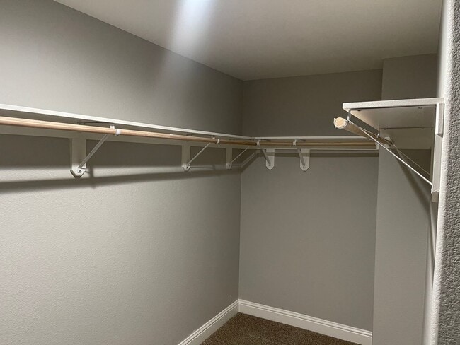 Building Photo - Beautiful 4 Bedroom 3 Bathroom with a pool