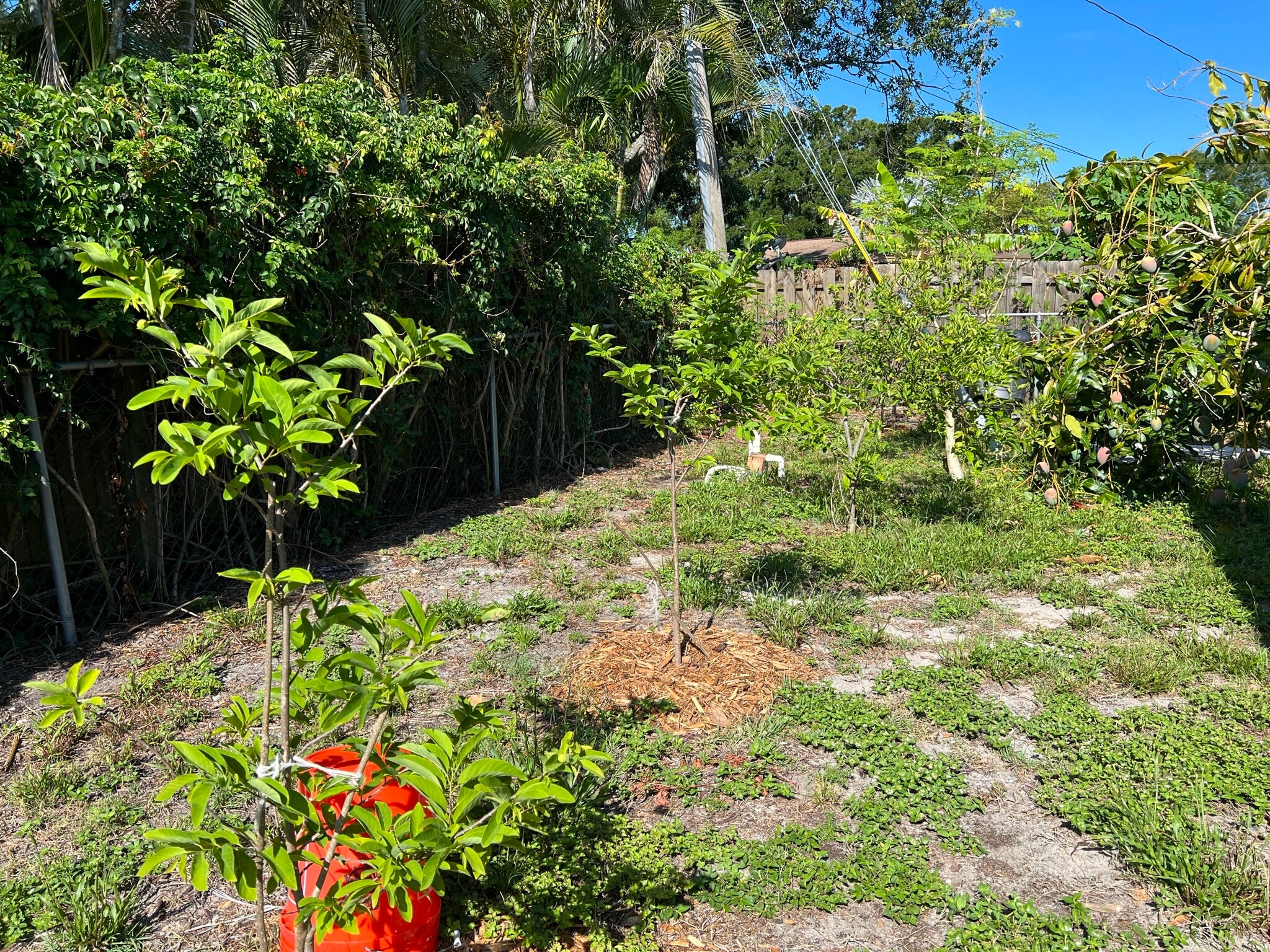 Building Photo - 2714 Grove St