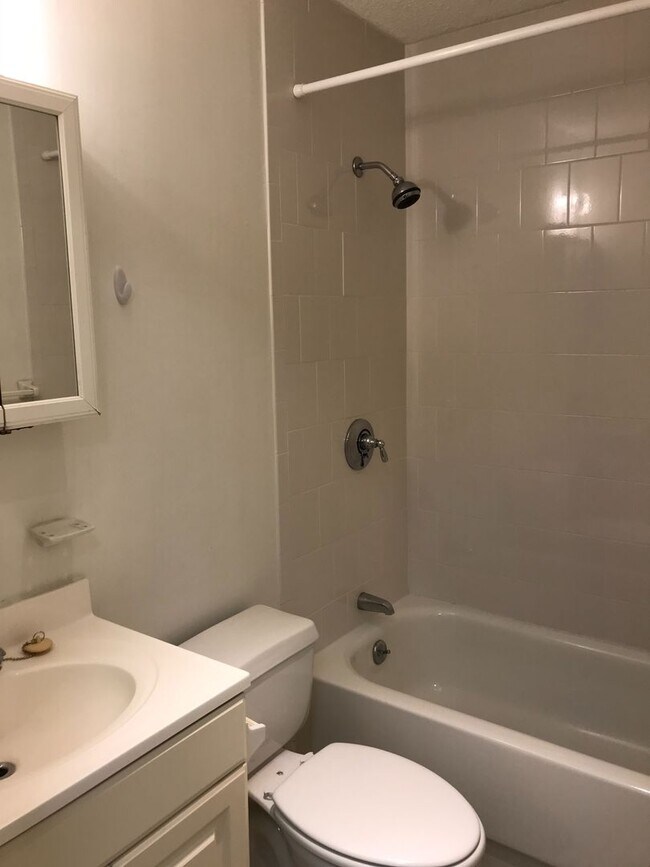 Building Photo - Large Sunny Studio Available Near Longwood (9/1)