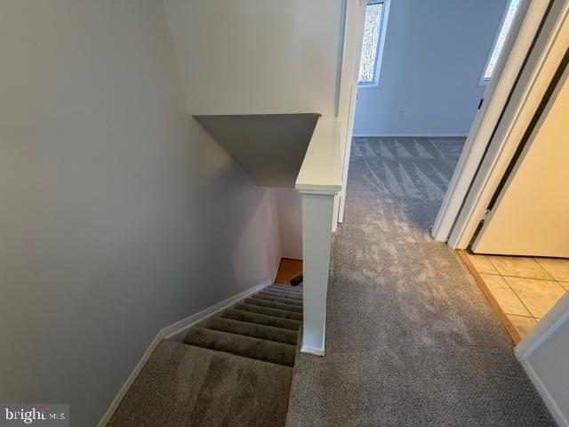 Building Photo - 6581 Pressed Gentian