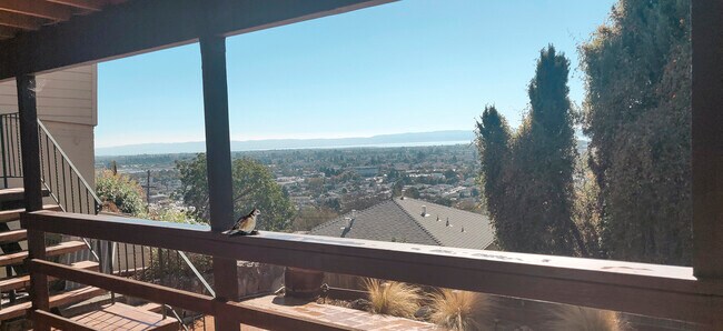 View from Lower Level Deck - 2043 Altamont Rd